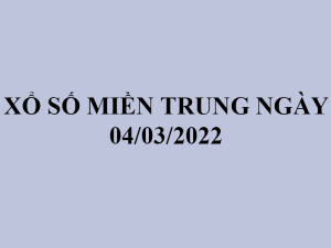 mt0403