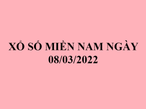 xsmn0803